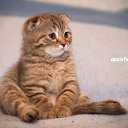 ���� ����, ��������, 23 ���� - ��������� 23 ������� 2010 � ������ �������