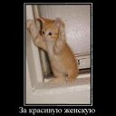 ���� �������, ������, 39 ��� - ��������� 23 ������� 2010 � ������ ��������������