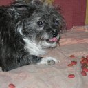 ���� ��� ����, ����, 67 ��� - ��������� 20 ��� 2011 � ������ �������