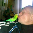 ���� �������, �����������, 47 ��� - ��������� 30 ������ 2009