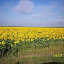 ���� ���������, ������-��-����, 52 ���� - ��������� 31 ������� 2012 � ������ �������