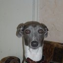 ���� ������, �������� - ��������� 28 ��� 2012 � ������ ���� ����������