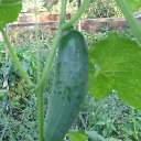 ���� �������, ��������� - ��������� 19 ������� 2012 � ������ ������ �� ������