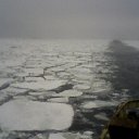 ���� ����, ������-�������, 49 ��� - ��������� 16 ������� 2012 � ������ ����������