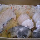 ���� �����, ������ - ��������� 14 ���� 2010 � ������ ������ ��������