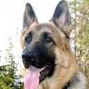 ���� Nik, �����, 63 ���� - ��������� 13 ����� 2010 � ������ ���� ���������