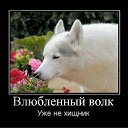 ���� �����, �����-���������, 40 ��� - ��������� 6 ���� 2012 � ������ ���� ����������