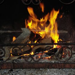 ���� Stefy, ������, 53 ���� - ��������� 16 ������ 2009