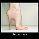 ���� �������, �����, 41 ��� - ��������� 16 ������� 2012 � ������ �������