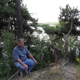 ���� �������, �������� - ��������� 8 ���� 2012