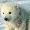 ���� ������, ������ ��������, 39 ��� - ��������� 21 ������� 2011 � ������ ���� ����������