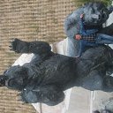 ���� ������, ���������, 46 ��� - ��������� 28 �������� 2011 � ������ ���� ����������