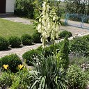  , , 50  -  1  2012   2012