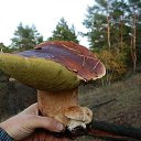 ���� ������, ����� - ��������� 18 ������� 2012 � ������ �������