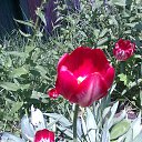 ���� Natali, ������, 67 ��� - ��������� 23 ������� 2012 � ������ �������