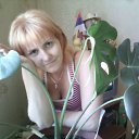 ���� ������-, ������������, 52 ���� - ��������� 18 ��� 2012 � ������ ���� ����������