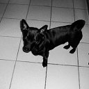 ���� Anatolij, ����, 57 ��� - ��������� 8 ������ 2012 � ������ �������