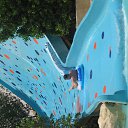  , Ҹ ,   ,  -  5  2013   һ