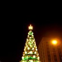 , , 28  -  29  2010   !)