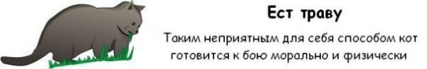 ���� �������, ������, 38 ��� - ��������� 11 ���� 2009 � ������ ������ ������