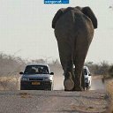 ���� ����� ���������, ������, 51 ��� - ��������� 9 �������� 2011 � ������ ���� �� ��� ���.....�