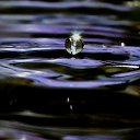 ���� ��������, �������, 58 ��� - ��������� 20 ������ 2012 � ������ �������