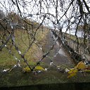 ���������� ��� �� ������� �����������