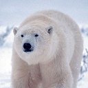 ���� ��������, ������, 25 ��� - ��������� 10 ������ 2010 � ������ �������