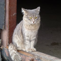 ���� ���������, ������ ��������, 53 ���� - ��������� 20 ������ 2013