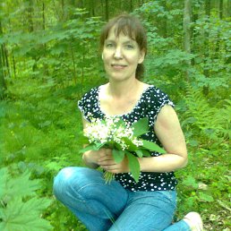 ���� ����, �����-���������, 64 ���� - ��������� 15 ��� 2013