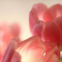 ���� ����� - ���������� ��������!!!, �����������, 56 ��� - ��������� 21 ������ 2010 � ������ ��������ۻ