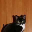  ,  , 51  -  15  2010