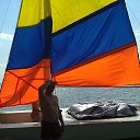 ���� ������, ��������� - ��������� 26 ���� 2013 � ������ ���� ����������