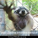 ���� ����, ������, 39 ��� - ��������� 20 ��� 2012