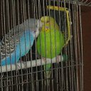 ���� �����, ������� ��������, 63 ���� - ��������� 24 �������� 2011 � ������ �������