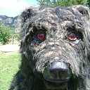 ���� �����, �������, 62 ���� - ��������� 19 ������ 2012