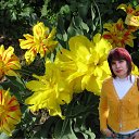 ���� ������, ���������, 56 ��� - ��������� 13 ������� 2010 � ������ ���� � ��������