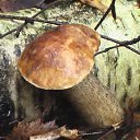 ���� ���, ����� - ��������� 18 �������� 2011 � ������ ��������� ������������