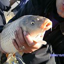 ���� ����, �����������, 60 ��� - ��������� 1 ���� 2011 � ������ ���� �����