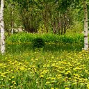 ���� ����, ������������, 64 ���� - ��������� 19 ������� 2011 � ������ ��������