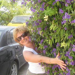 ����, ������, 59 ���