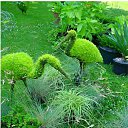 ���� �����, ������, 26 ��� - ��������� 25 ���� 2010 � ������ �������