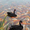  ,  -  2  2011     ...