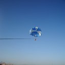  , , 83  -  23  2010   --ջ