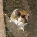 ���� ��������, �������, 74 ���� - ��������� 13 ���� 2012 � ������ ���� ����������