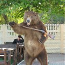 ���� ������, ����� - ��������� 2 ������� 2012 � ������ �������