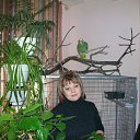 ���� ����, ��������� - ��������� 3 ������� 2011