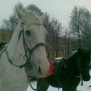  Natasha,  , 31  -  17  2012   