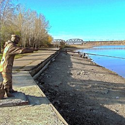 ������, �������, 46 ���