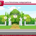   , , 47  -  3  2010   PetLove